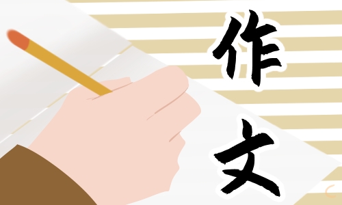 最新对坚守教育初心的实践思考心得作文